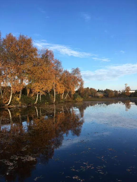 Дальние Дачи