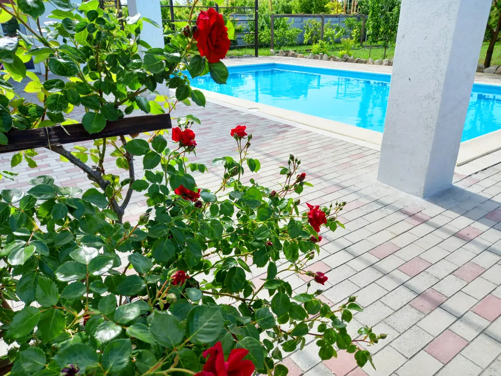 Дом с бассейном