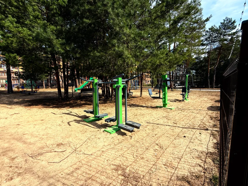 Апартамент в сосновом лесу