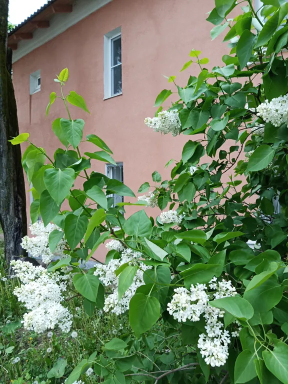 Квартира в центре города у Солодежни