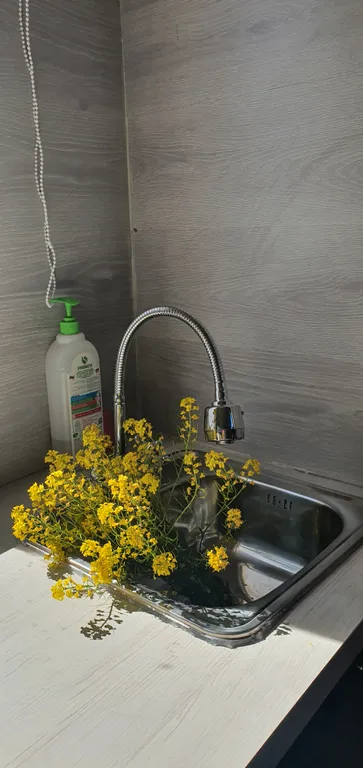 Дом c террасой