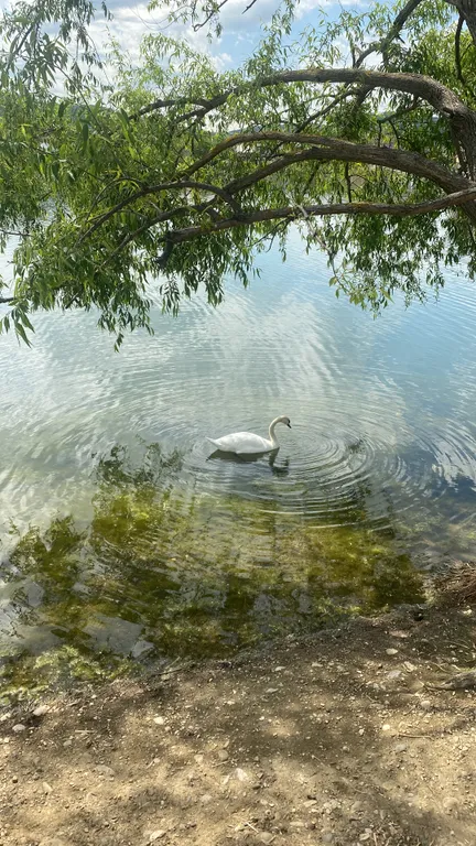 Квартира Квартира Самая лучшая локация в Горячем Ключе — Горячий Ключ