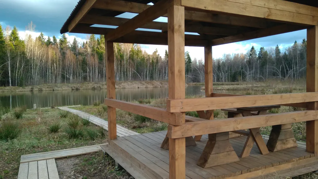 Коттедж Васнецово-озеро, дом на берегу озера у леса в Подоосковье — Ваньково