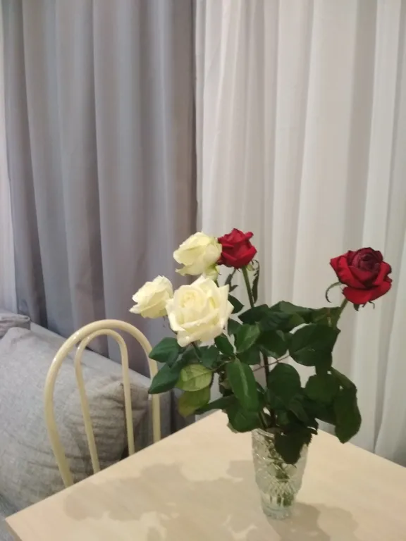 Квартира Квартира Мадрид у моря — Адлер