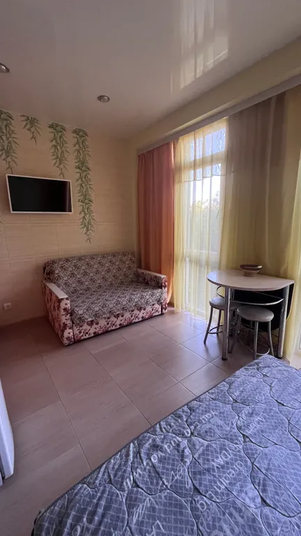 Студия в 700 м от моря сочифорния пляж, южные культуры