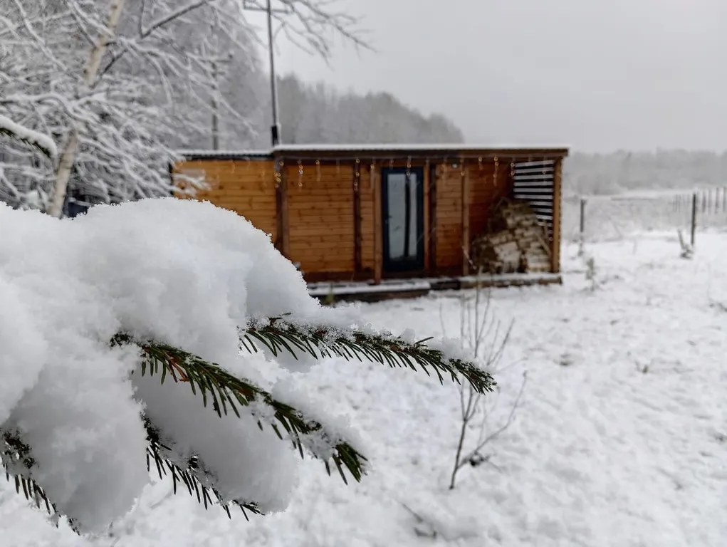 Уютный домик с комфортом  в лесу