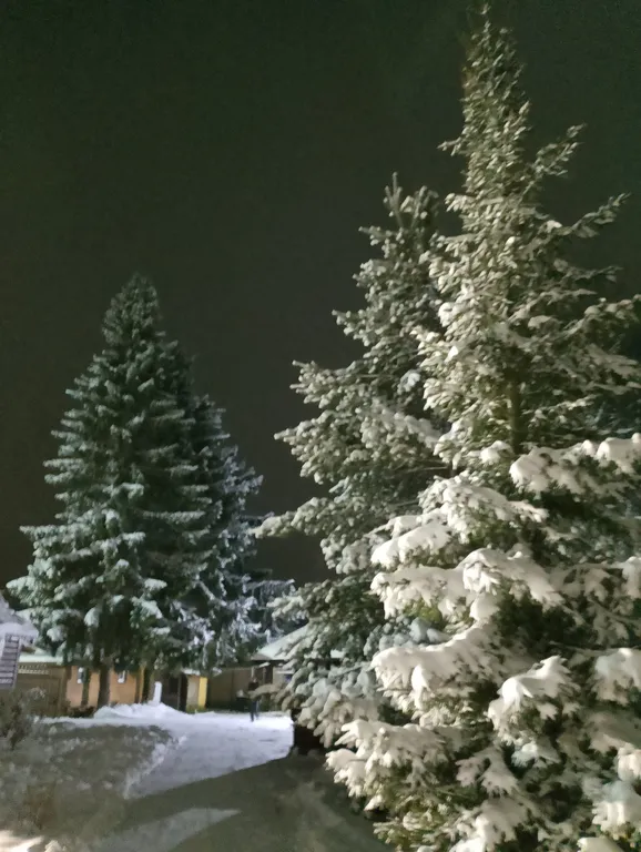 Уютный Дом с Камином в сосновом лесу 15 мин от Твери и 50 мин от МКАДа