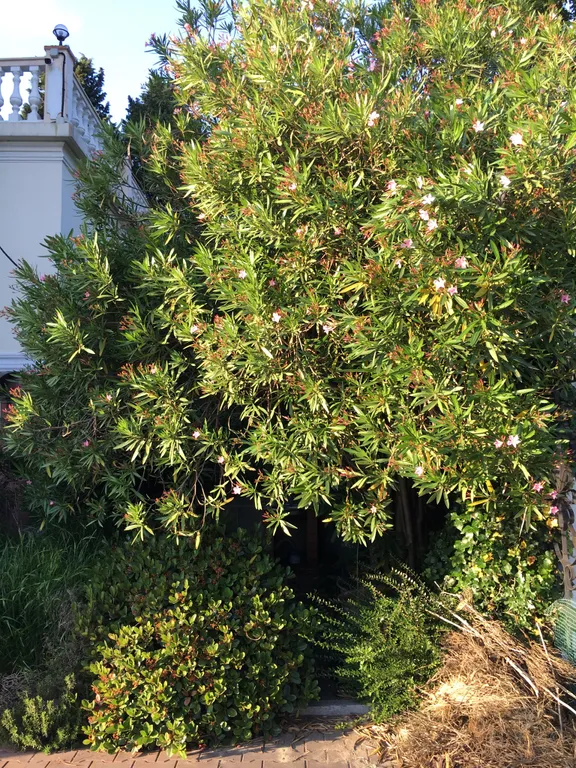 Дом в Сочи с видом на море