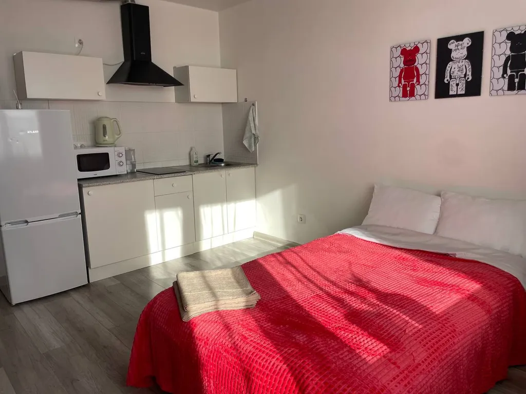 Светлая студия