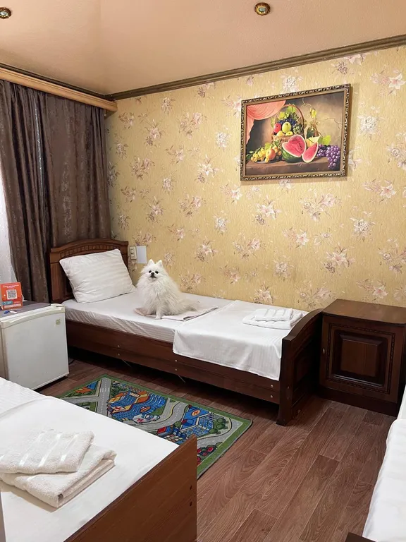 Квартира Комната — Адлер