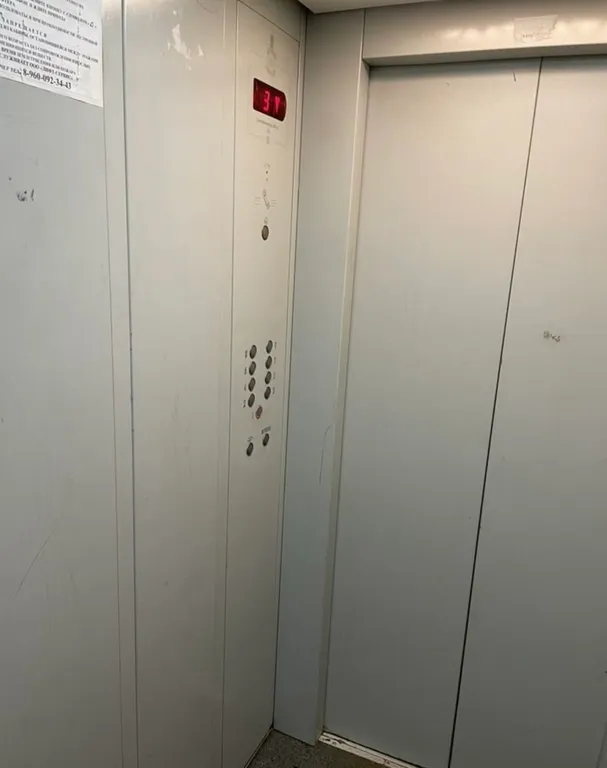 Уютная квартира с видом на лес