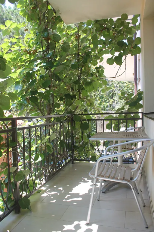 Квартира Комната — Лазаревское