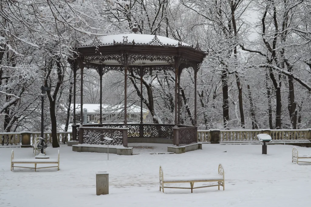 Студия Виктория-Русь