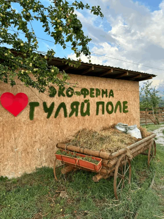 Коттедж Маленький домик в глэмпинге эко-ферма Гуляй поле — Сочи