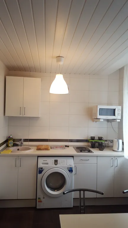 Трехкомнатная квартира-студия возле метро "Березовая роща"