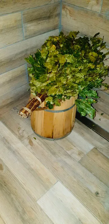 Дом под Минском с баней и купелью