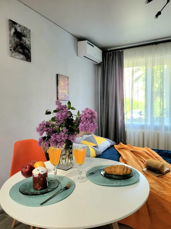 Уютная студия в центре города