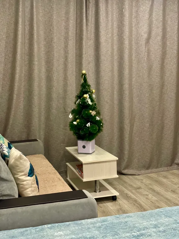 Просторная квартира с видовым балконом близ Питьевой Галереи Санатории