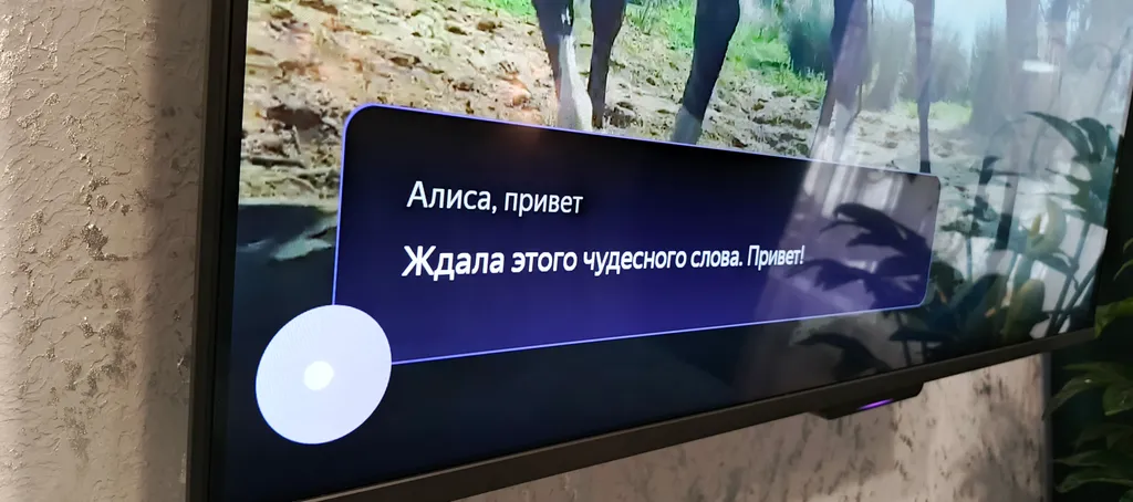 ⟡︎︎︎АльфаХоумПлюс⟡︎︎︎Центр Челябинска⟡︎︎︎Отчетные документы⟡︎︎︎