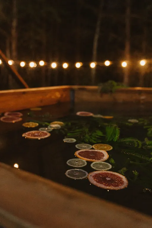 Уникальный купольный дом среди хвойного леса