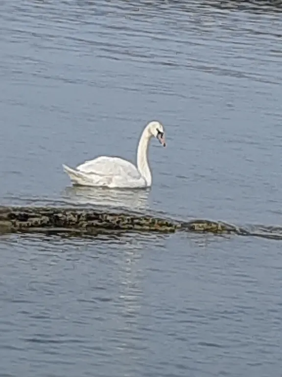 Уютная комната с видом на море