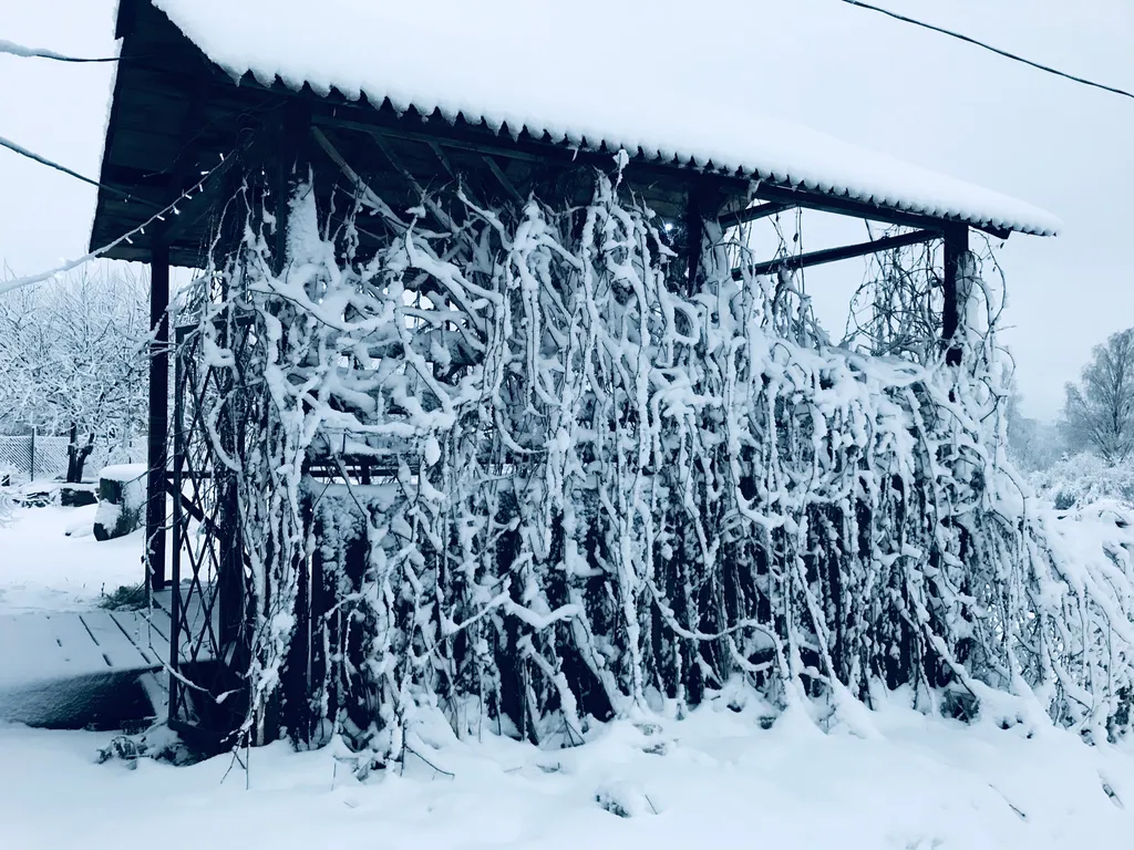 Три Галки Дом в саду