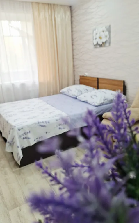 Уютная, светлая квартира в центре Дальнего Засвияжья