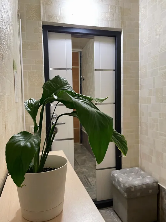 Квартира Уютная просторная квартира на Взлётке рядом с парком — Красноярск