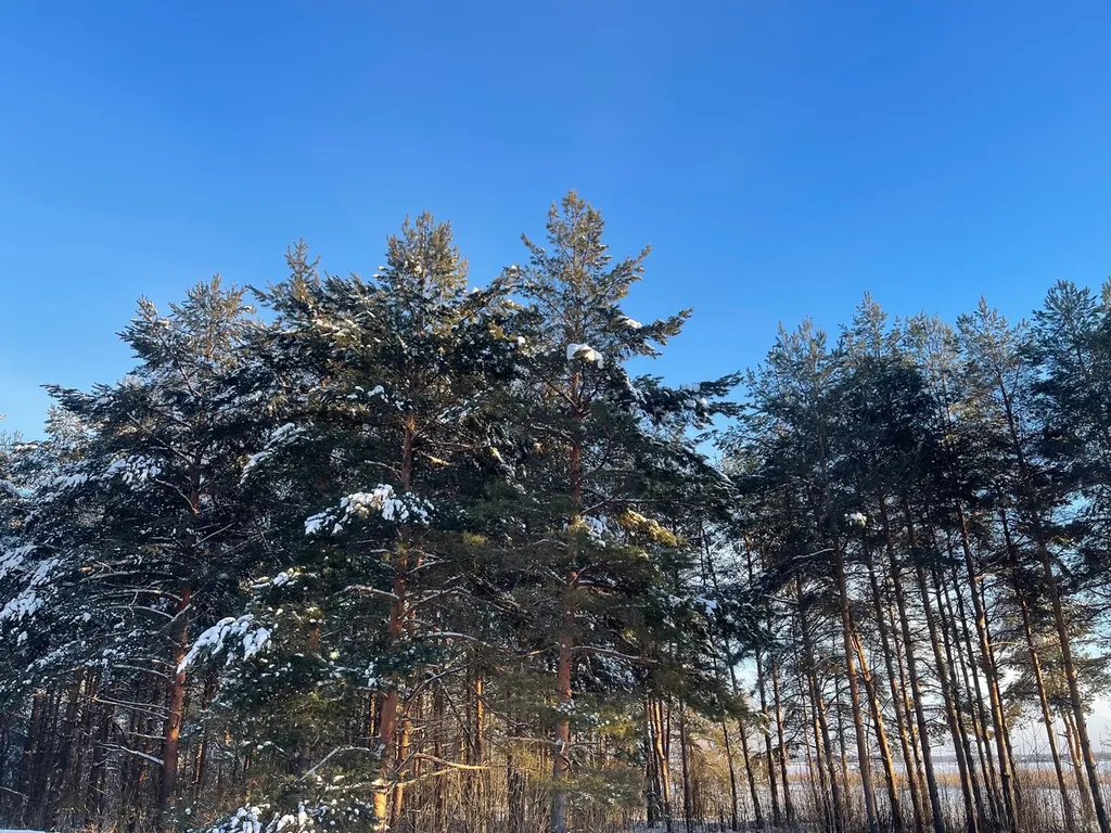 Гостевой дом для большой компании на берегу озера