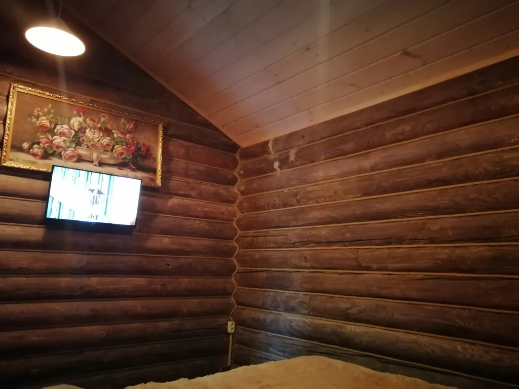 Дом изба в деревне с бассейном и баней