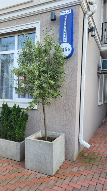 Квартира Дизайнерская квартира в олимпийском — Сириус