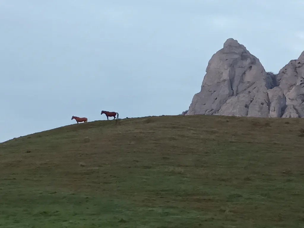 Дом в заповедном месте