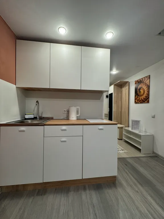 Шикарные апартаменты с PlayStation