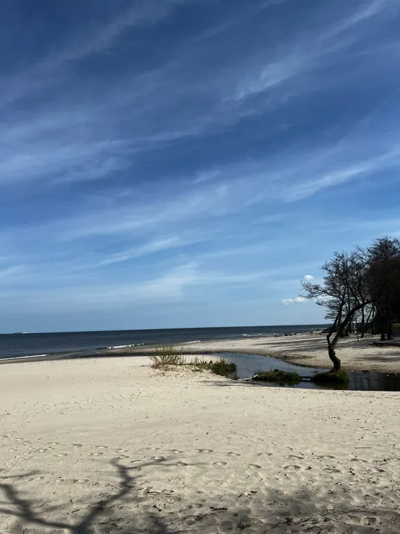 Квартира 1-комнатная Квартира — Светлогорск