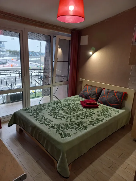 Квартира 1-комнатная Квартира — Сириус