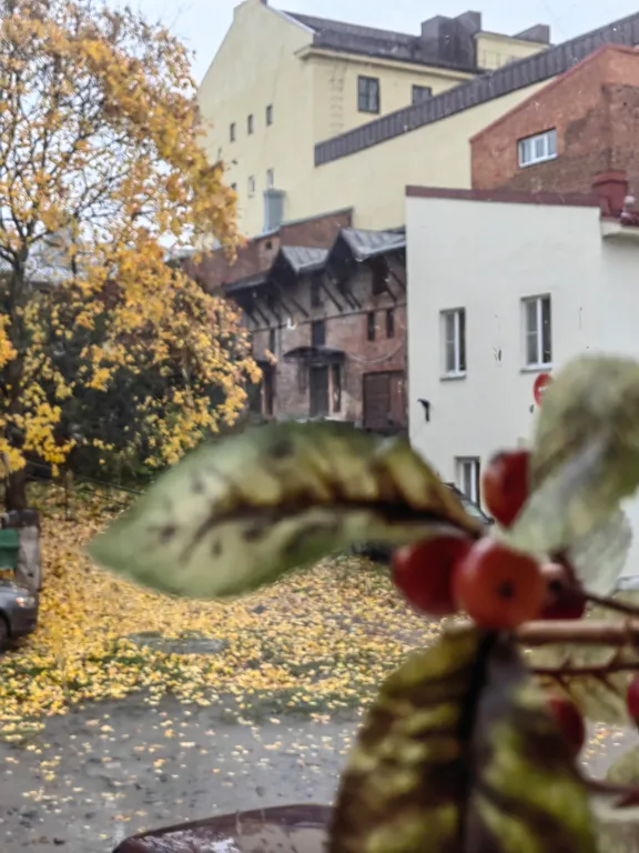 Уютная студия в центре