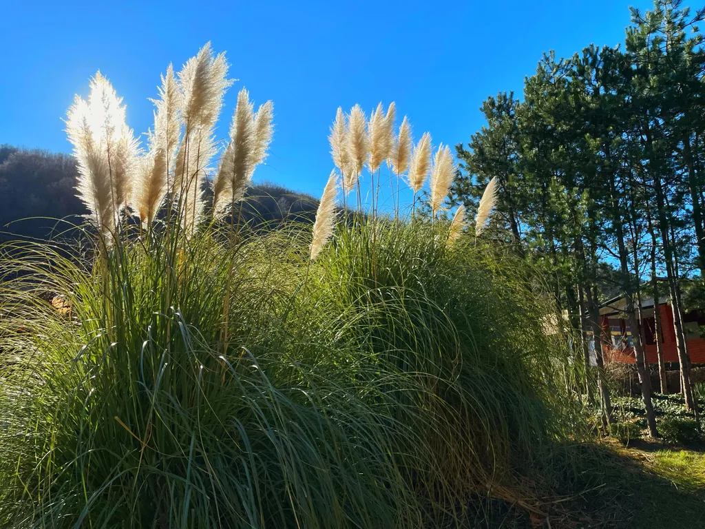 Апартаменты в ботаническом саду 7 минут от пляжа