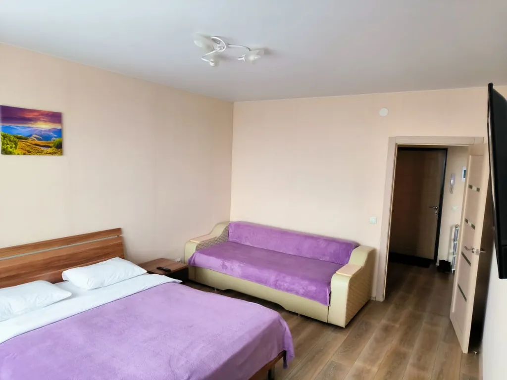 Квартира Уютная 1 комнатная квартира вблизи ТЦ Планета и ГМ Лента — Красноярск