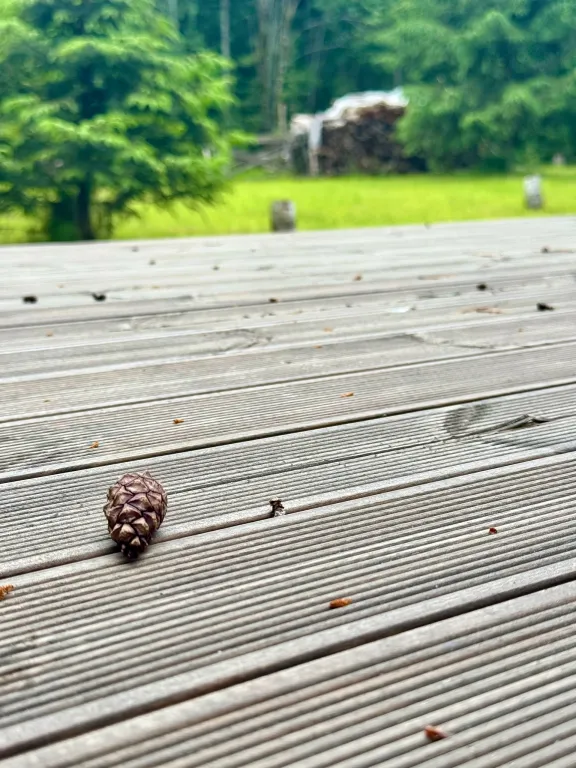 Коттедж Апартаменты с системой Умный дом Вне сети — Тосно