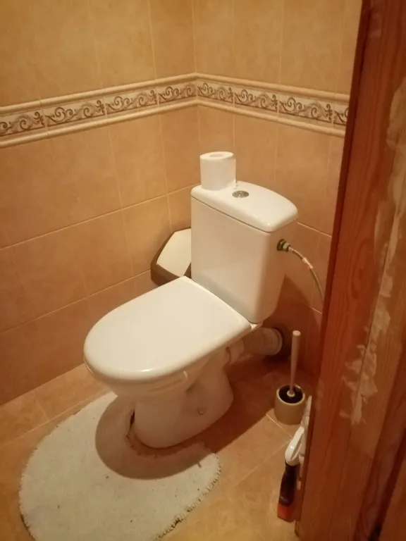 Коттедж под Брестом