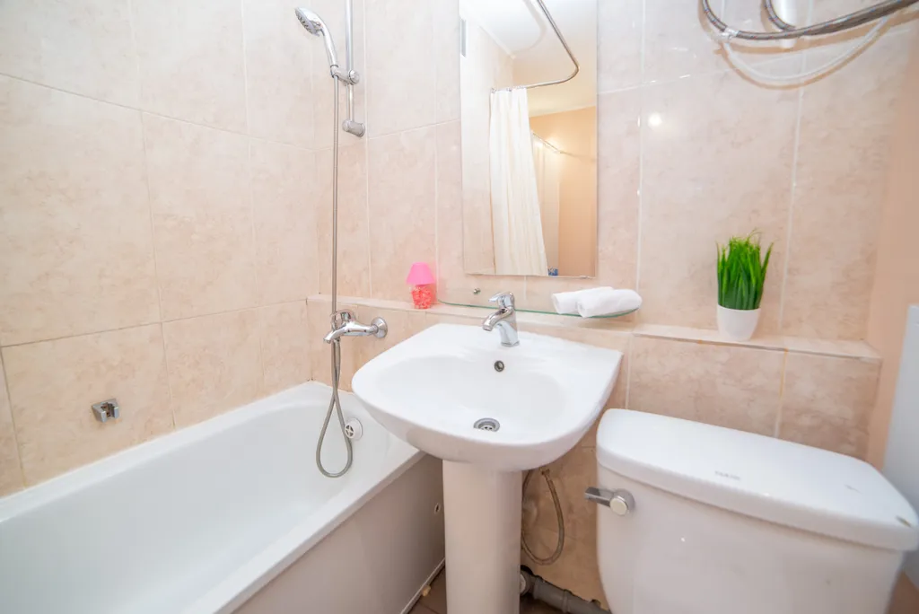 Фламинго и степь