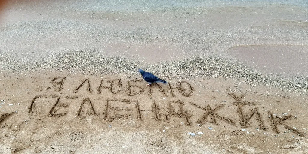 Квартира Квартира на Толстом Мысу между бухтой и открытым морем — Геленджик