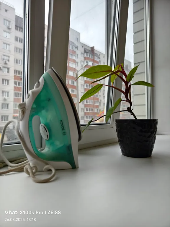 Квартира Квартира в спальном районе рядом с м4 дон — Воронеж