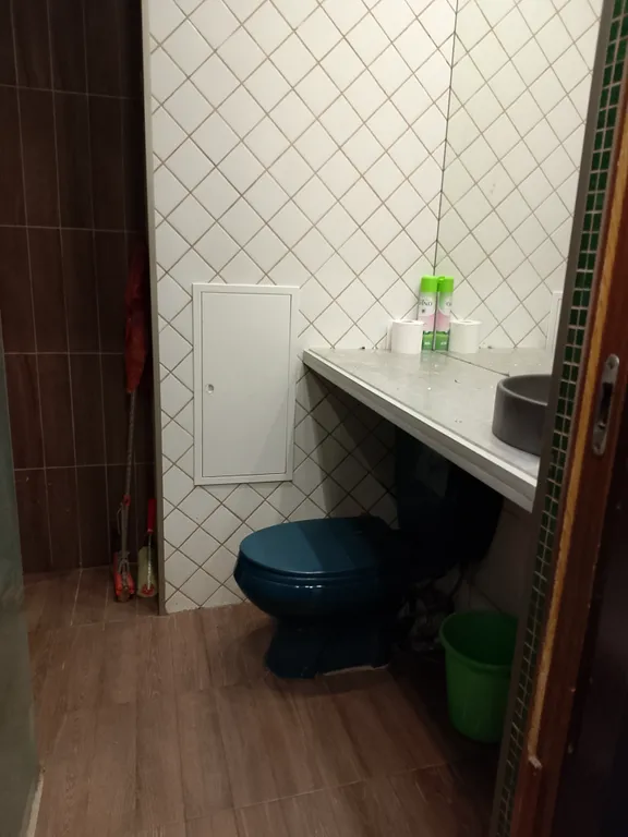 Двухкомнатная квартира -студия