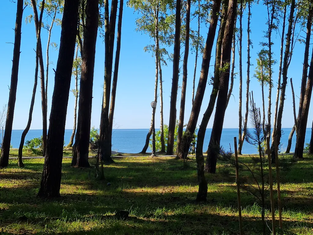 Уютная квартира у моря с сосновым бором