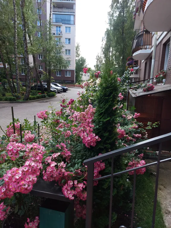 Квартира на море у санатория Янтарный берег