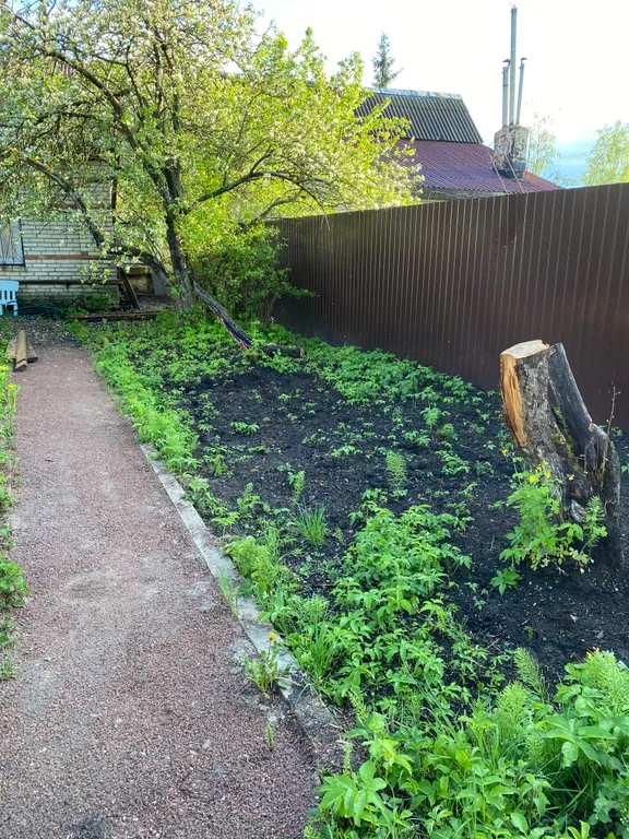 Дом с елкой и снеговиком, за домом манеж с лошадьми