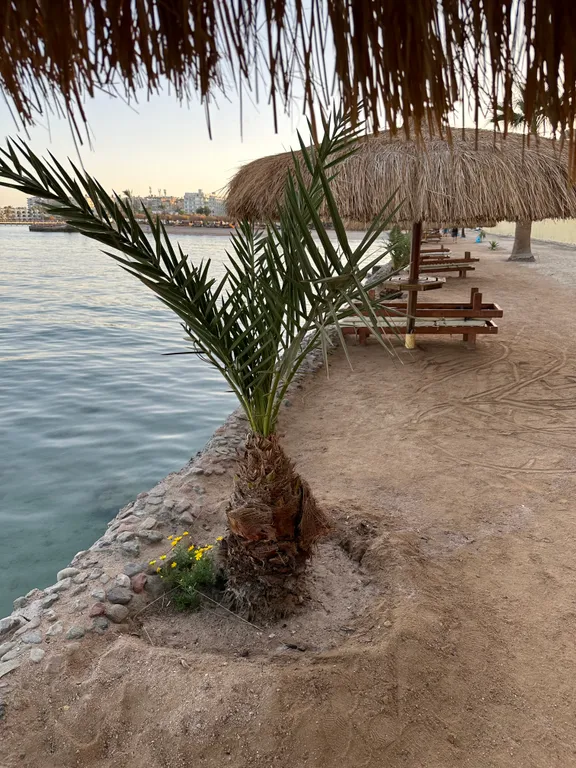 Апартаменты с личным пляжем и бассейном