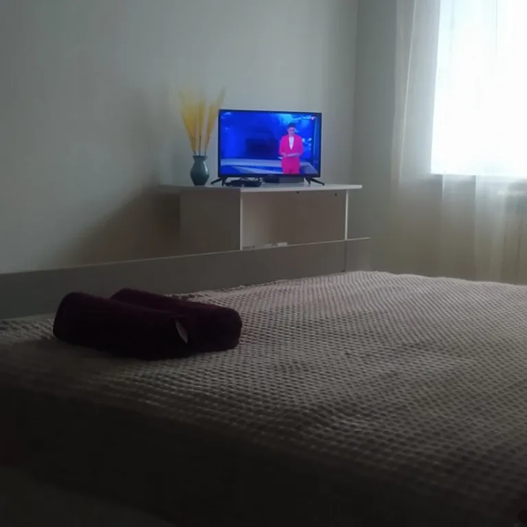 Уютная квартира в Новом городе