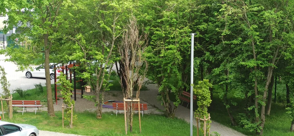 Квартира Уютная квартира возле парка Ашмана — Калининград